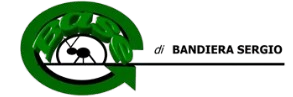 logo-removebg-preview